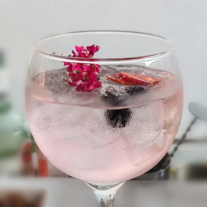 Gin tonic de frutos rojos (cóctel de la carta)